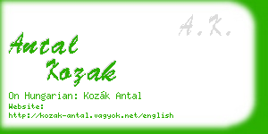 antal kozak business card